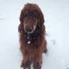 jenna_petrie